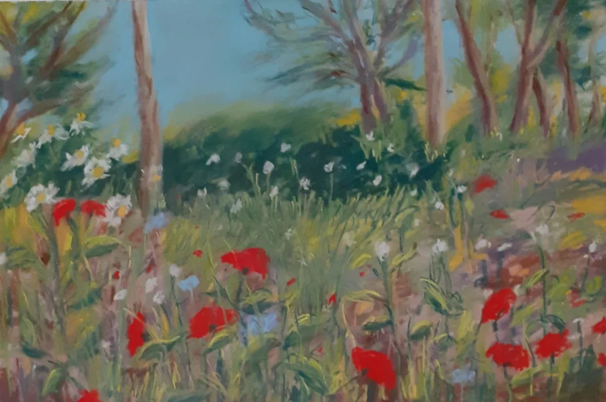 A Small Corner Of Hesketh Park